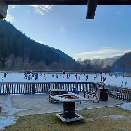 思嘉卜雷恩家庭会议酒店 3* Monichwald