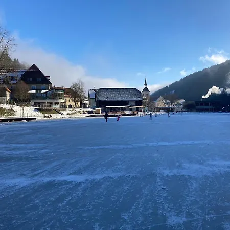 Seegasthof Breineder - Familien&seminarhotel Hotel 3*