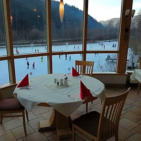 Seegasthof Breineder - Familien & Seminarhotel 3*