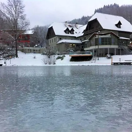 Otel Seegasthof Breineder - Familien & Seminarhotel