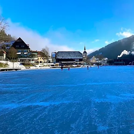 Seegasthof Breineder - Familien & Seminarhotel