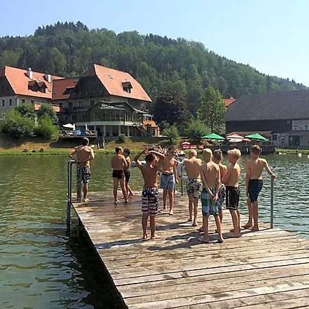 Otel Seegasthof Breineder - Familien & Seminarhotel