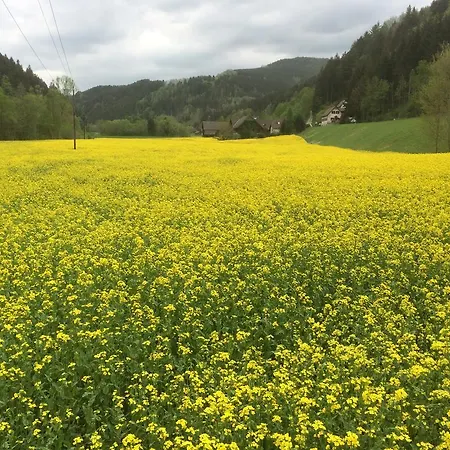 Seegasthof Breineder - Familien & Seminarhotel فندق Monichwald