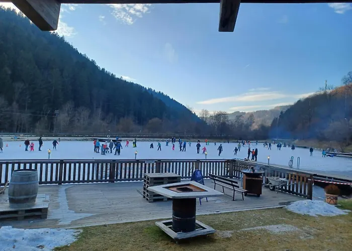 思嘉卜雷恩家庭会议酒店 3* Monichwald