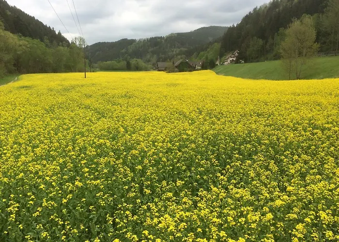 Seegasthof Breineder - Familien & Seminarhotel فندق Monichwald