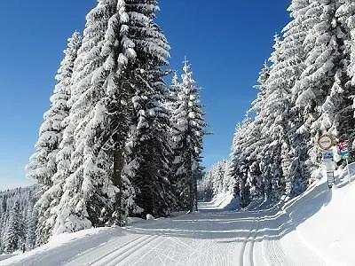 Seegasthof Breineder - Familien & Seminarhotel 3*