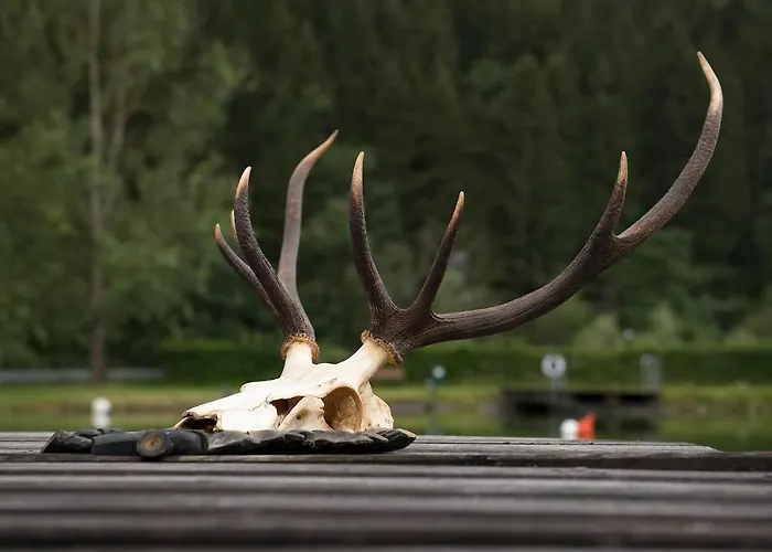 فندق Seegasthof Breineder - Familien & Seminarhotel Monichwald